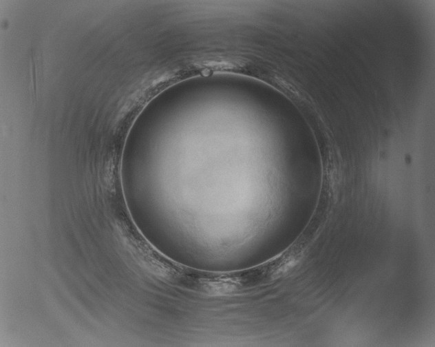 X0000053090359200507111203