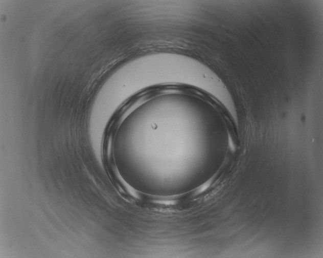 X0000053090360200507111203