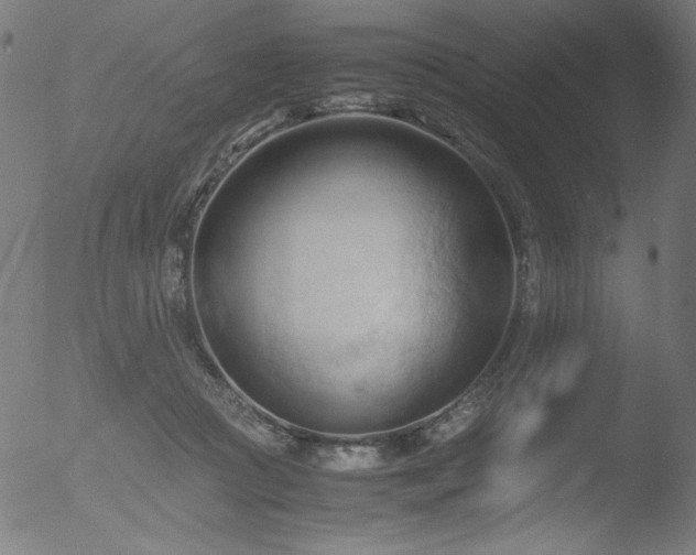 X0000053090361200507111203