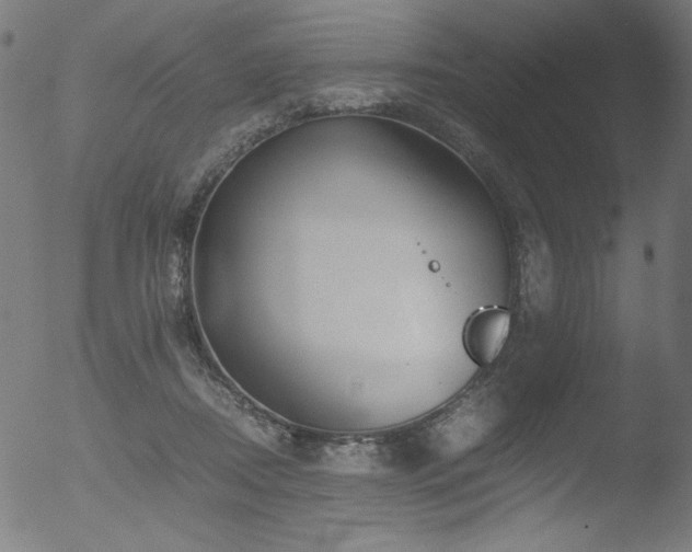 X0000053090362200507111203