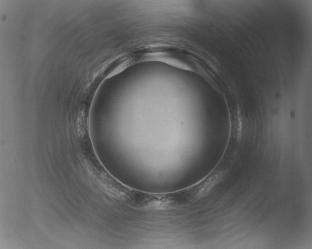 X0000053090364200507111203