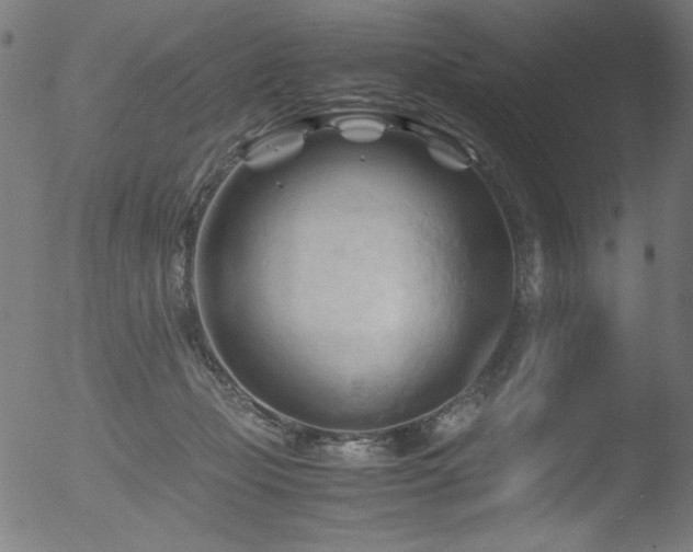 X0000053090365200507111203