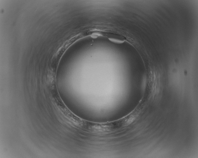 X0000053090367200507111203