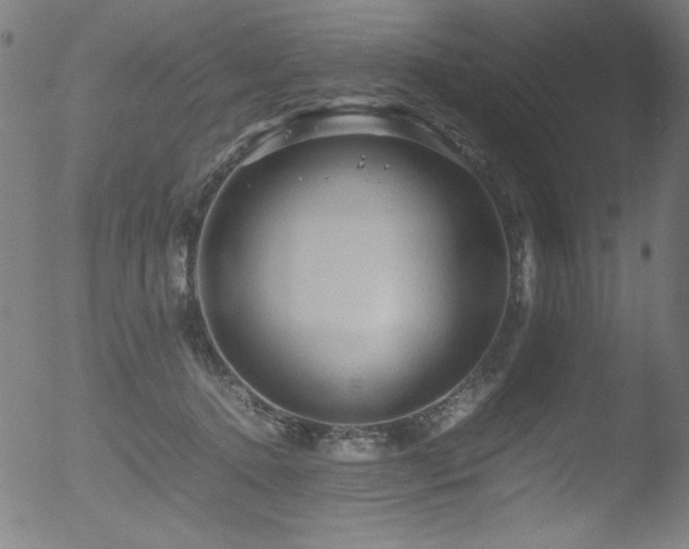 X0000053090368200507111203