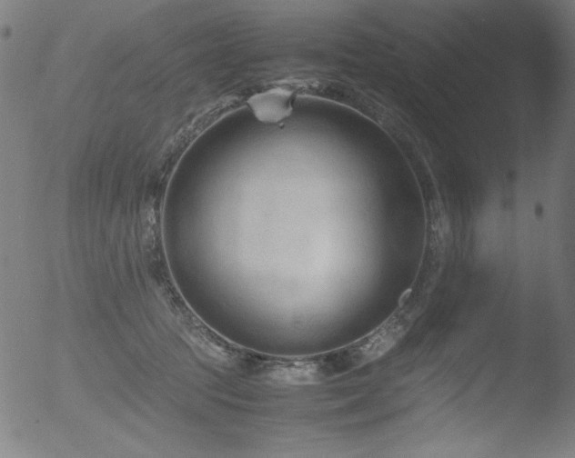 X0000053090369200507111203