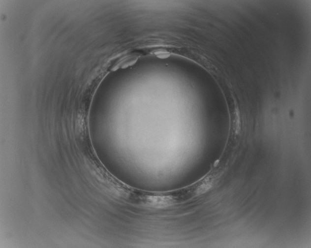 X0000053090371200507111203