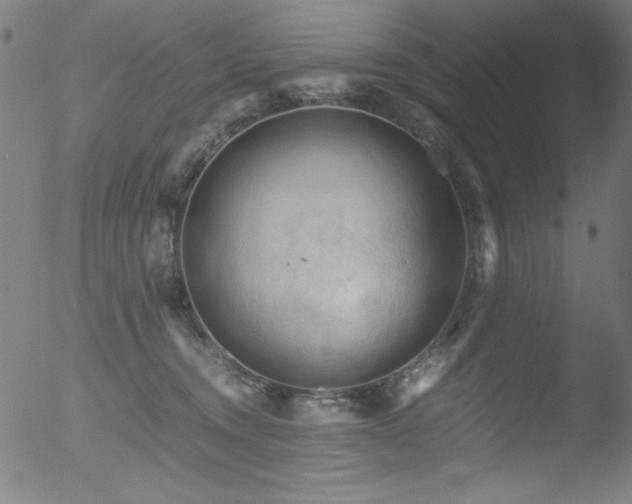 X0000053090372200507111204