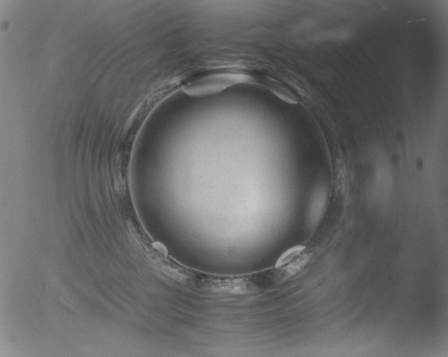 X0000053090377200507111204