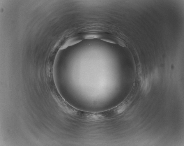 X0000053090379200507111204