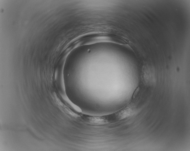 X0000053090380200507111204