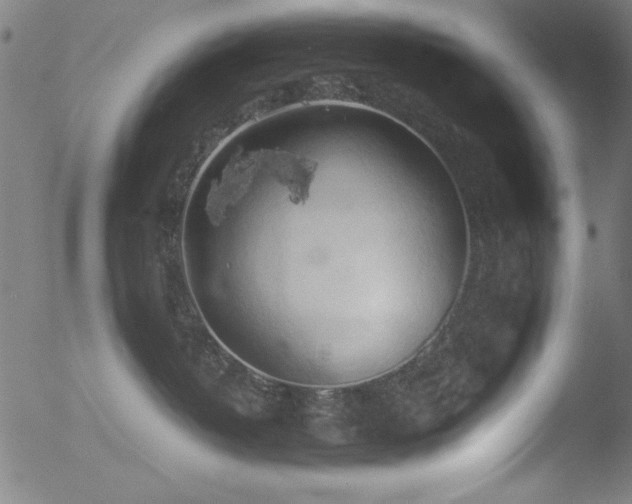 X0000053090382200507111204