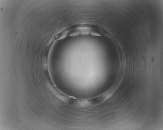 X0000053090383200507111204