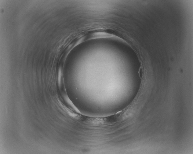 X0000053090384200507111204