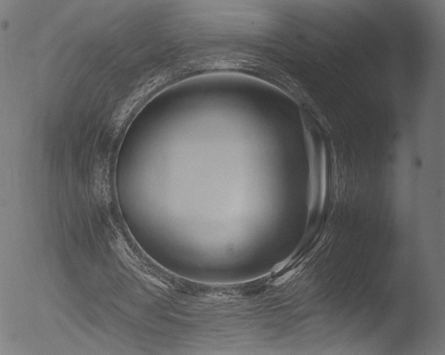 X0000053090386200507111203