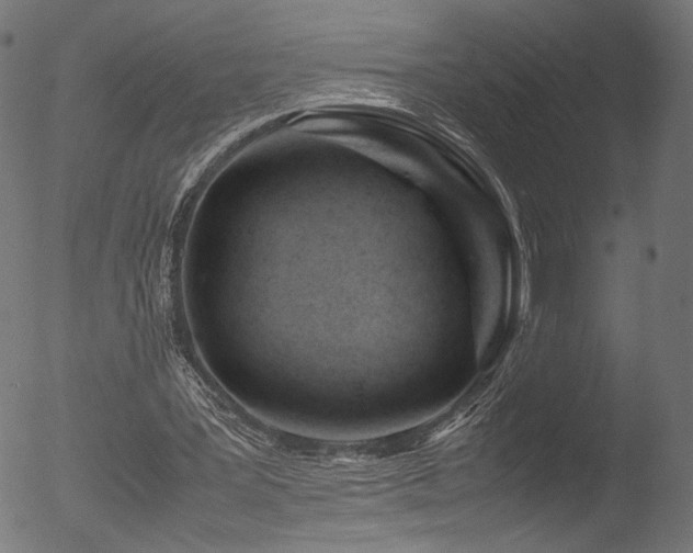 X0000053090387200507111203