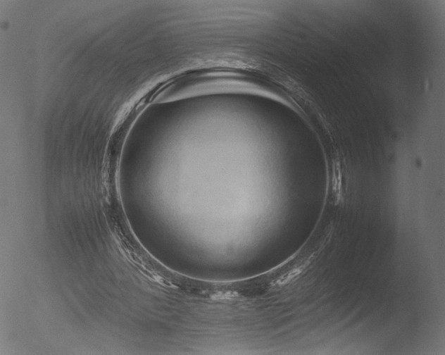 X0000053090388200507111203