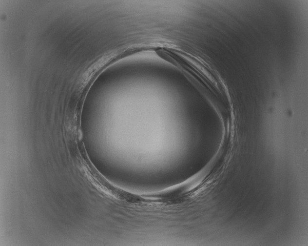 X0000053090389200507111203