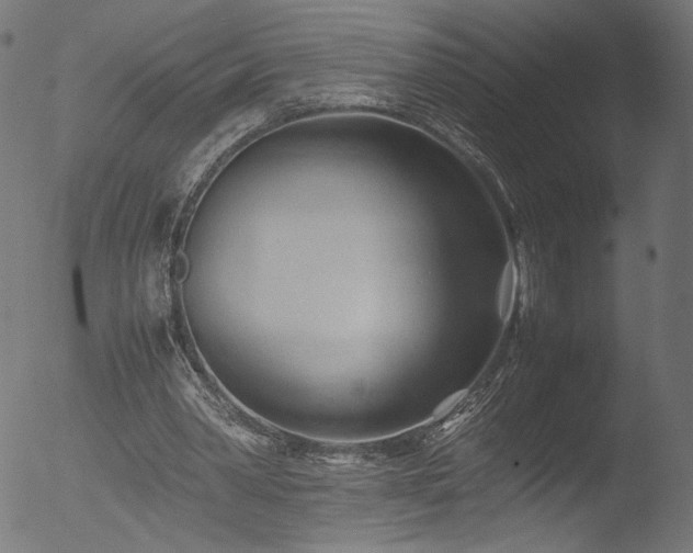 X0000053090390200507111203