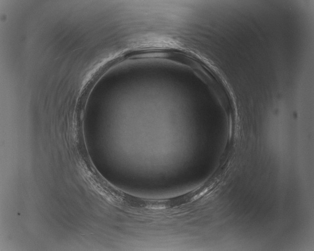 X0000053090391200507111203