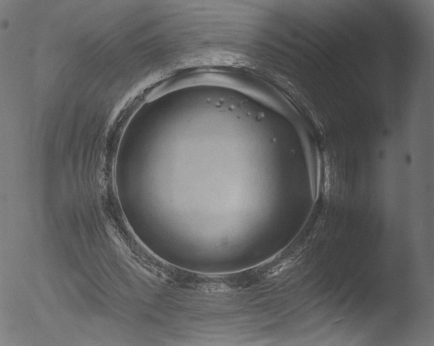 X0000053090392200507111203