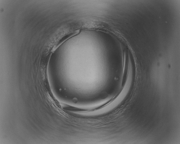 X0000053090393200507111203