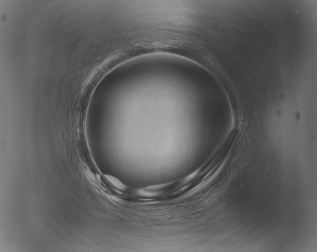 X0000053090395200507111203