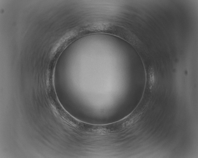 X0000053090396200507111203