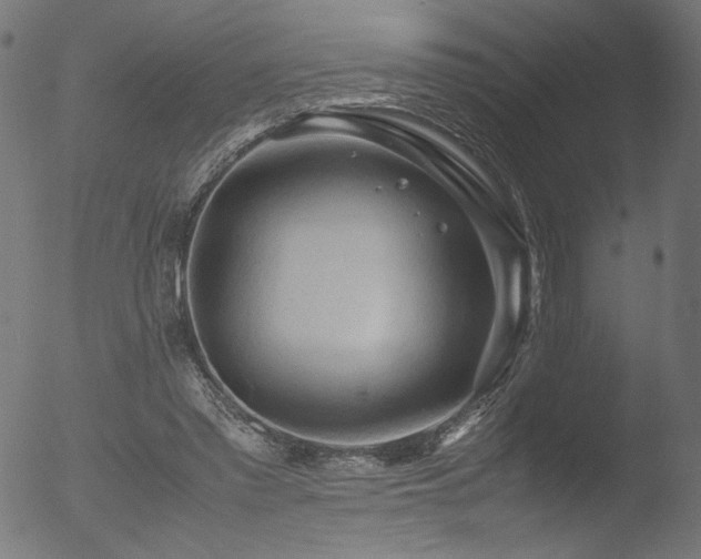 X0000053090397200507111203