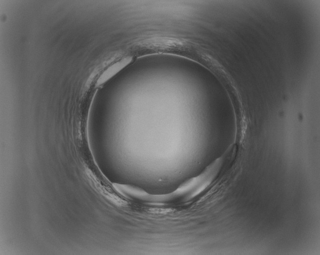 X0000053090399200507111203