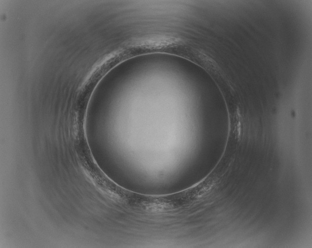 X0000053090400200507111203