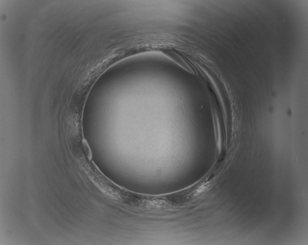 X0000053090401200507111203