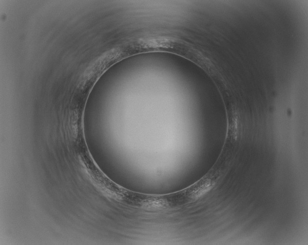 X0000053090402200507111203