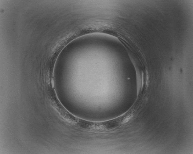 X0000053090403200507111203