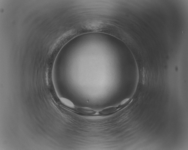 X0000053090404200507111203