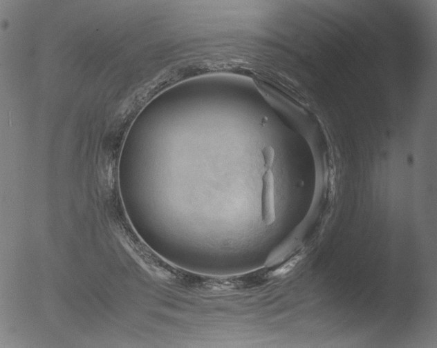 X0000053090405200507111203