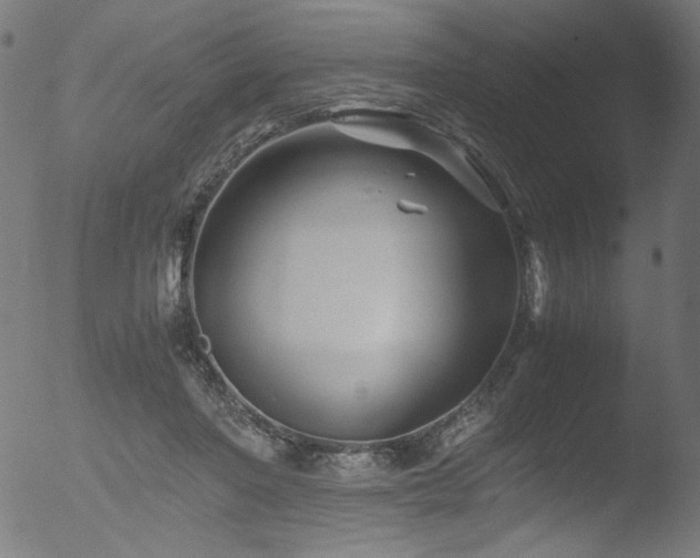 X0000053090406200507111203