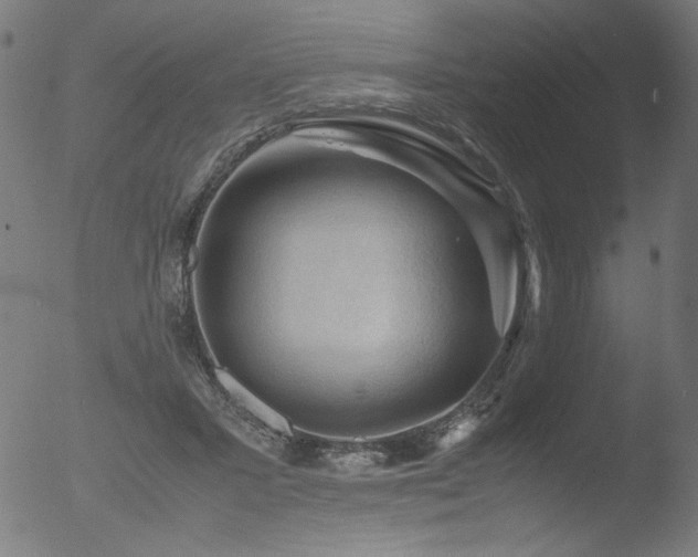 X0000053090407200507111203