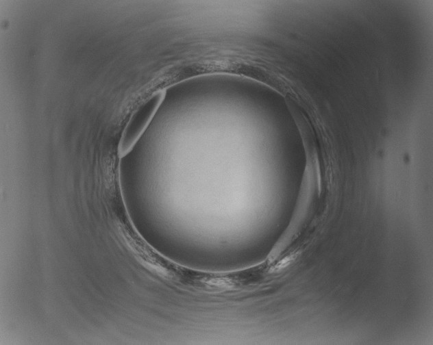 X0000053090409200507111203