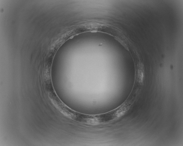 X0000053090411200507111202