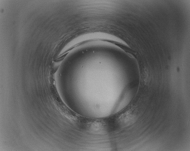 X0000053090412200507111202