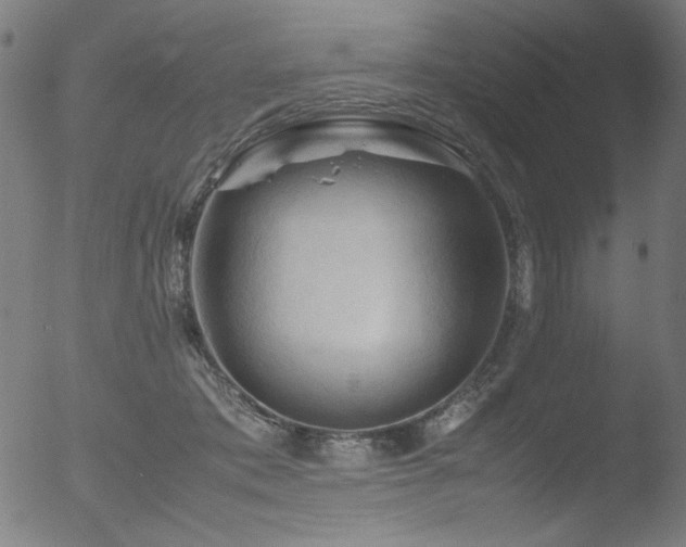 X0000053090413200507111202