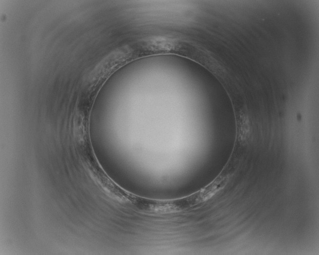 X0000053090414200507111202