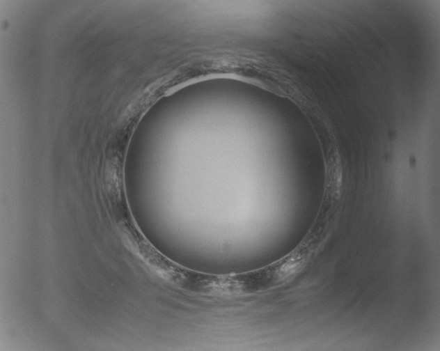 X0000053090415200507111202