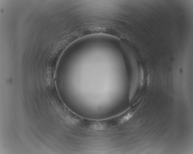 X0000053090416200507111202