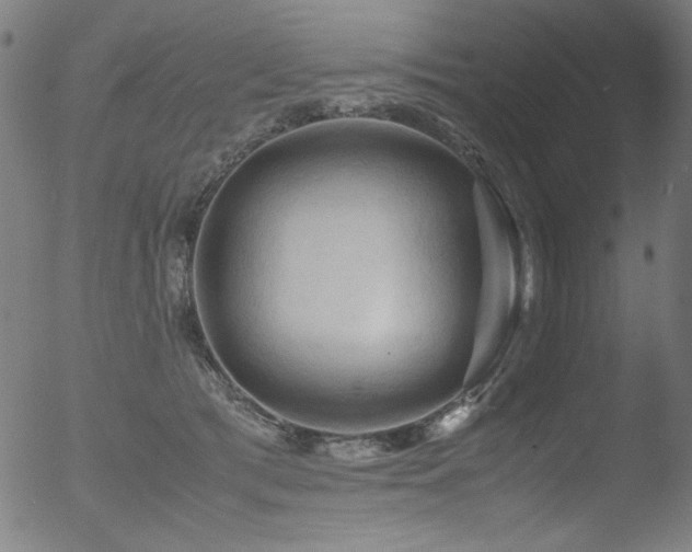 X0000053090417200507111202