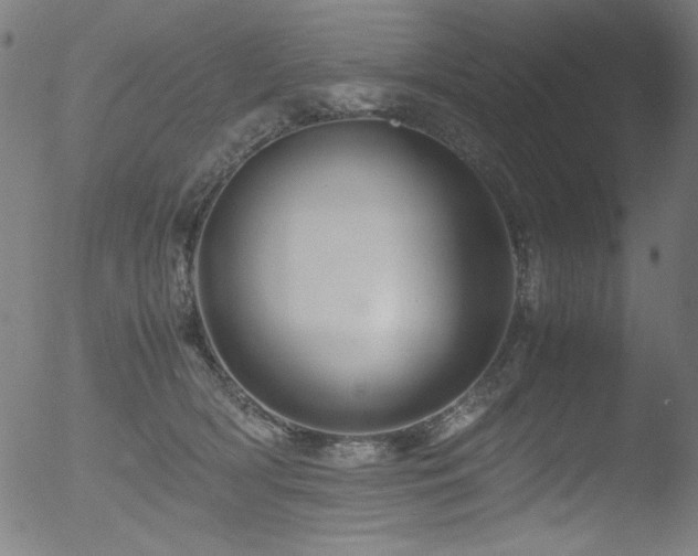 X0000053090418200507111202