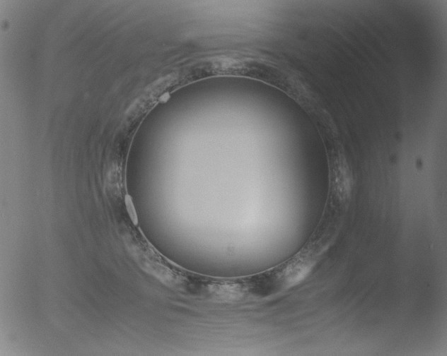 X0000053090419200507111202