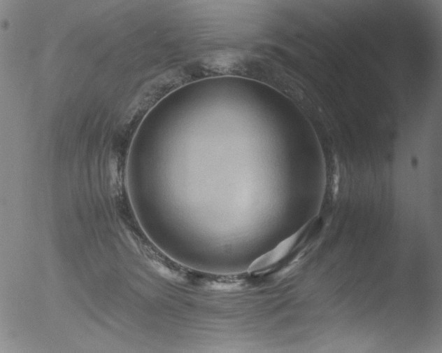 X0000053090420200507111202