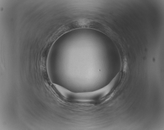 X0000053090421200507111202