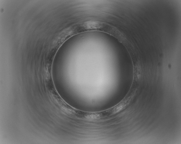 X0000053090422200507111202